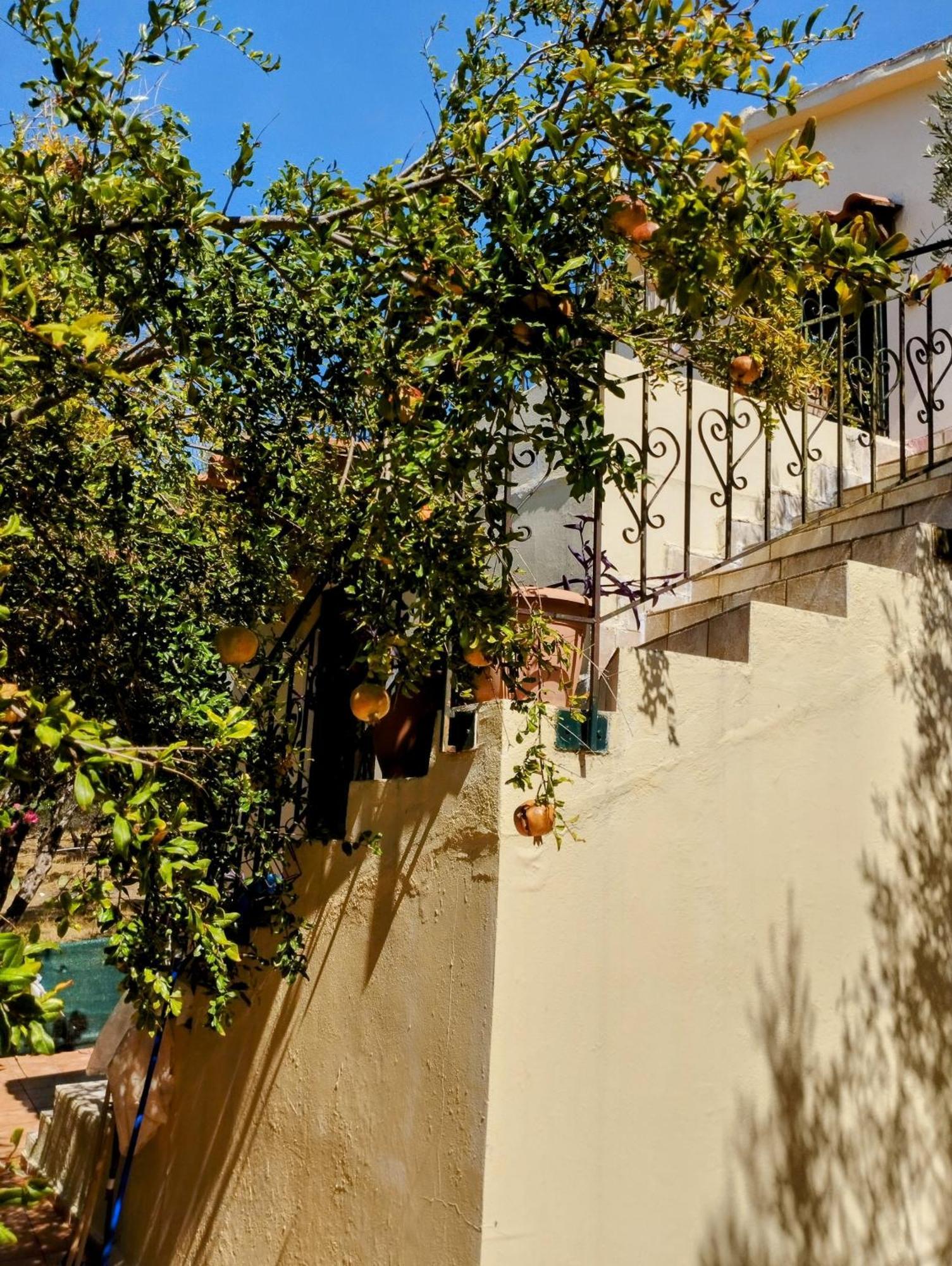 Ktima Tzamika Lägenhet Episkopi-Chania Exteriör bild
