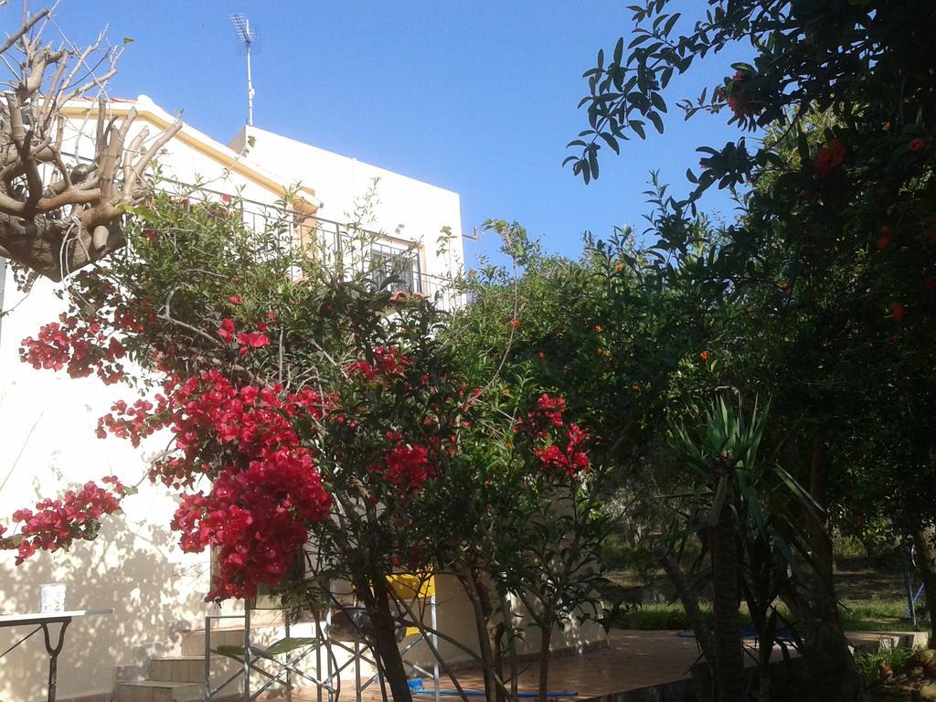 Ktima Tzamika Lägenhet Episkopi-Chania Exteriör bild