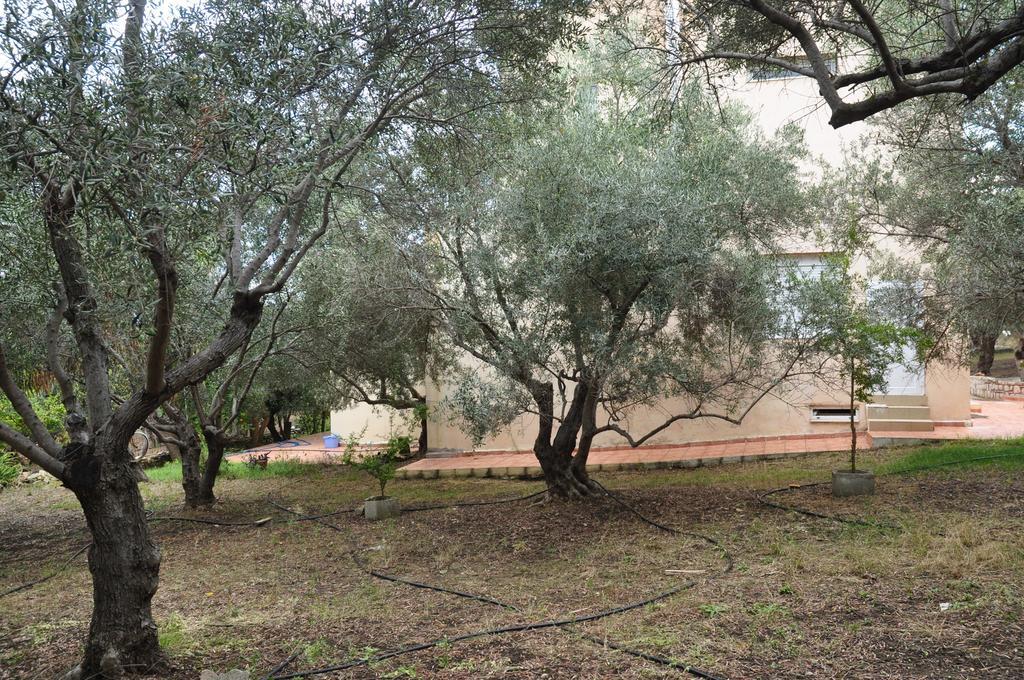 Ktima Tzamika Lägenhet Episkopi-Chania Exteriör bild