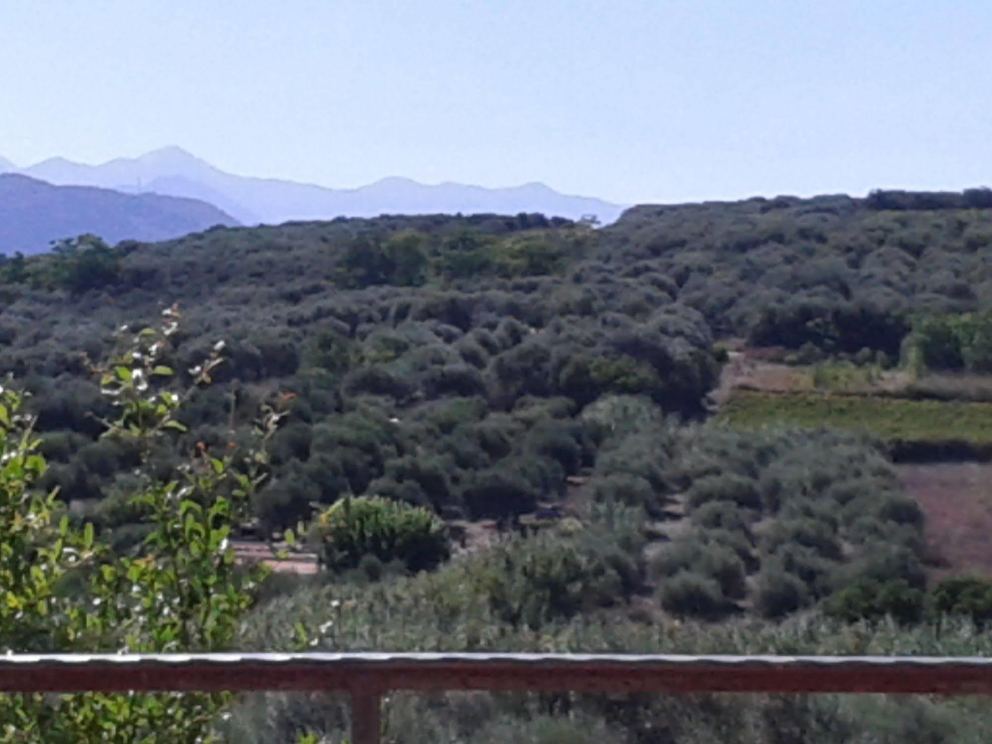 Ktima Tzamika Lägenhet Episkopi-Chania Exteriör bild